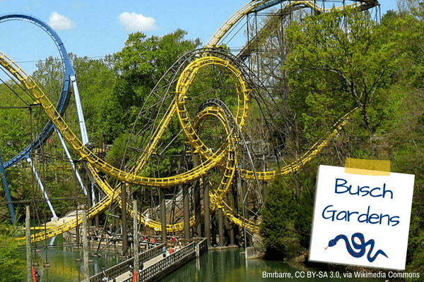 Busch Gardens Tampa 