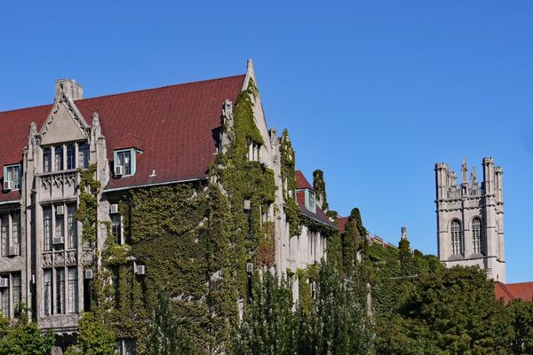 The University of Chicago