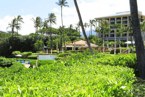 Four Seasons Resort in Maui