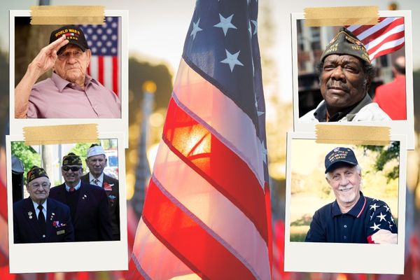 Veterans in the USA