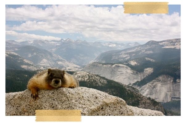 View of Yosemite National Park