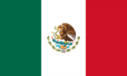 Mexico Flag Knockout English Language